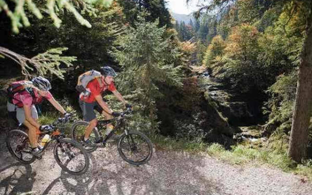 Wohlfühlgasthof Friedlwirt