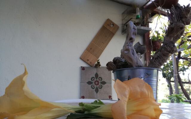 Il Fenicottero Guest House