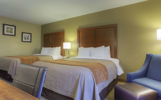 Comfort Inn Biltmore West