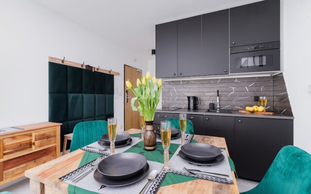 Kościelisko Studio & Parking by Renters