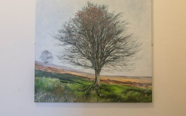 426 - Prince Regent Street Apartment