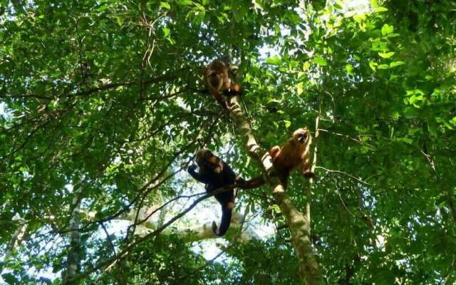 Paradise Amazon Lodge & Adventure