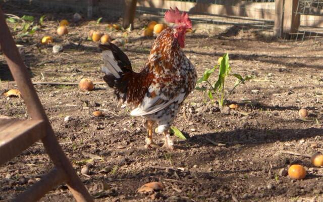 Swara Slow Living Home