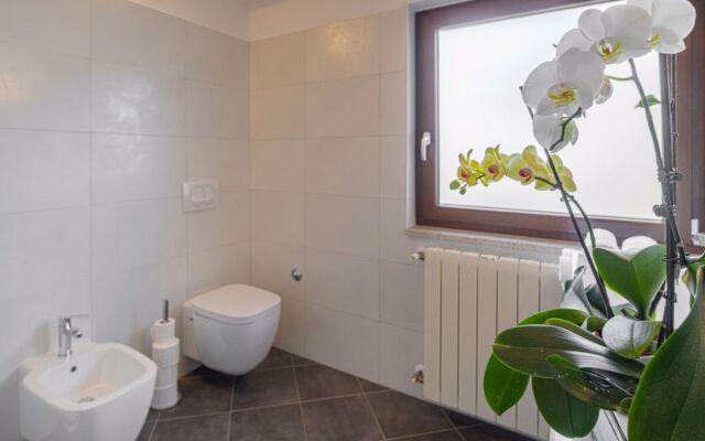 Apartment Olivo Novigrad (Istra) 28611