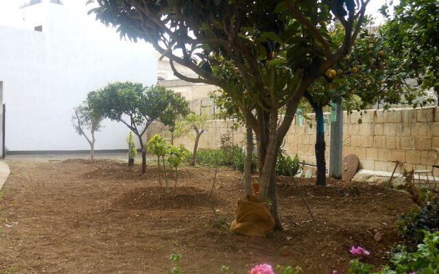 Il Giardino Del Corso