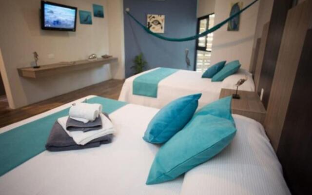 Suites and Art