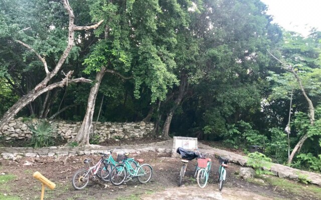 Encantador departamento con vista a la alberca