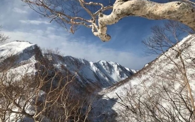 Myoko Forest Lodge - Hostel