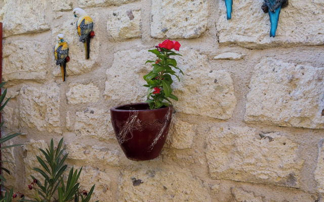 Müzeyyen Hanım Konağı Alaçatı 12+