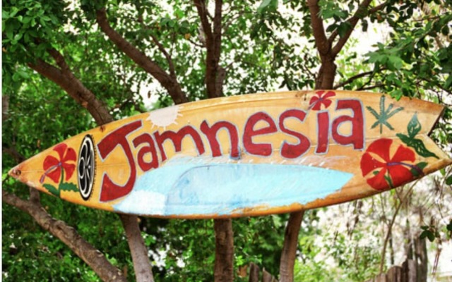 876 JA Oasis by Kingston Airport