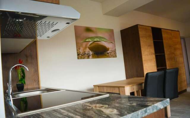 Wels Inn Hotel