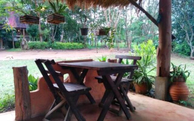 The Mountain View Backpacker Guest House