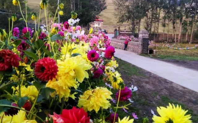 Gesang Garden