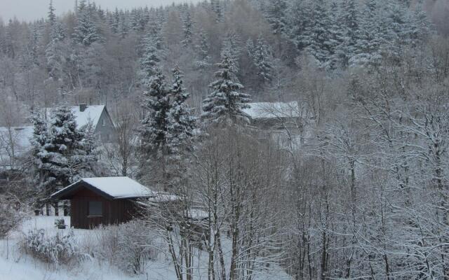 Chic Holiday Home in Medebach Germany near Ski Area