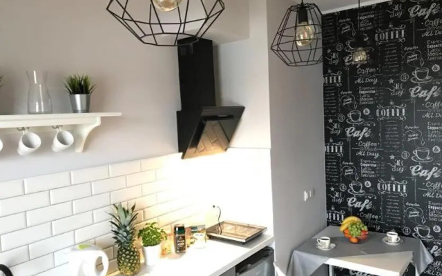 Premium Apartment - Chopin AirPort