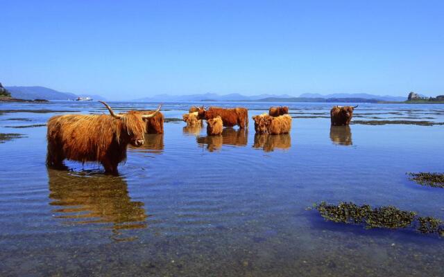 Appin Holiday Homes