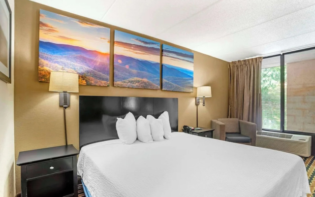 Quality Inn near Speedway