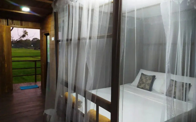 Sigiri Paddy Field Hut