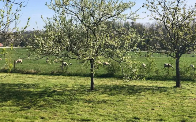 Charming Apartment in Ardennes