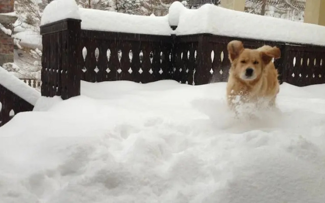 Pensjonat Kasia i Michał