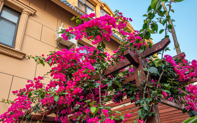 Yintan Zeyinju Hotel