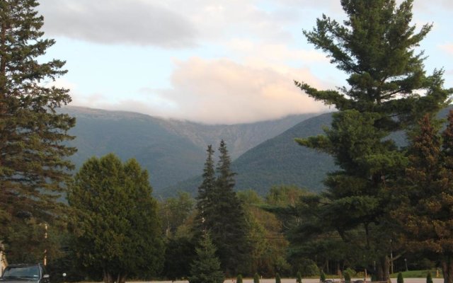 Mount Jefferson View