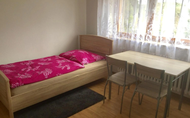 Mainzimmer Business Appartment - Monteurwohnung mit Burgblick
