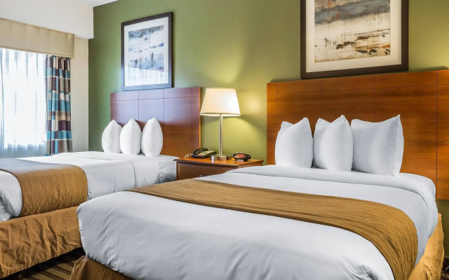 Quality Inn Flamingo