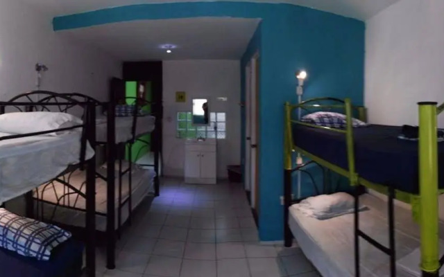 Oyster Hostel