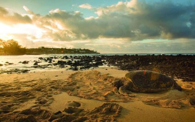Quiet Kiahuna plantation , New Remodel with AC