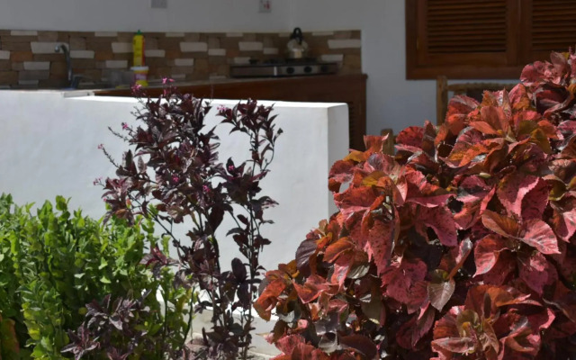 New Arisen Bungalows