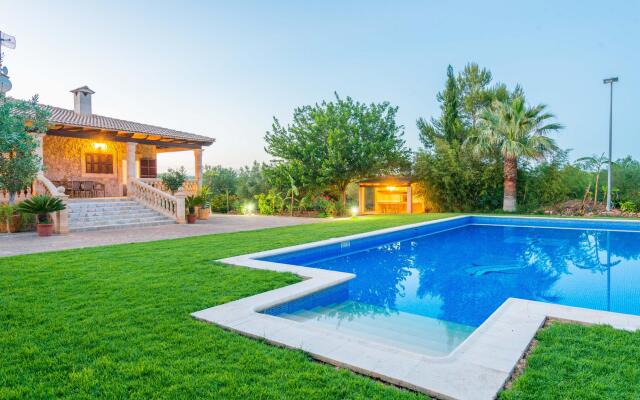 Can Berguins in Buger