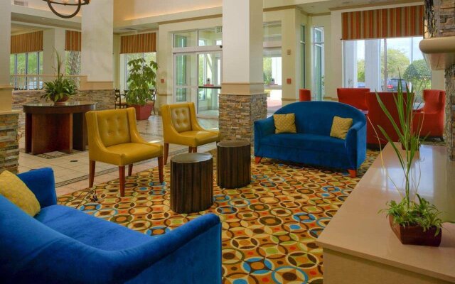 Hilton Garden Inn Tampa North Busch Gardens