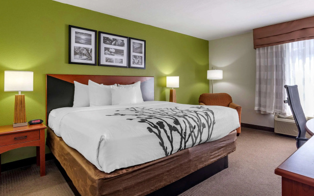 Sleep Inn & Suites Stockbridge Atlanta South
