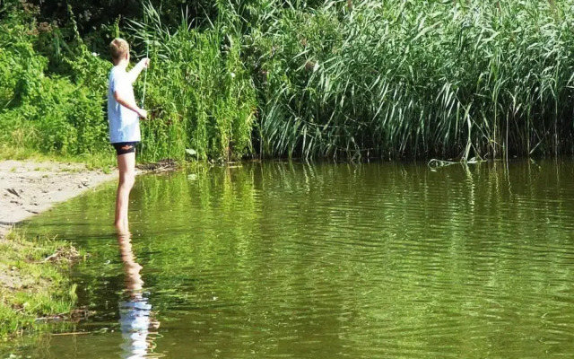 Roof House Near Dummer See With Rowing Boat