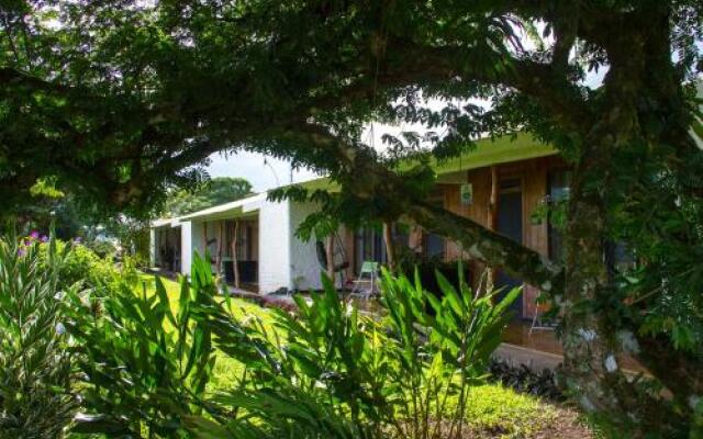 Hotel In Front Of Lake Arenal