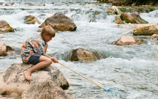 Ferienwohnungen am Buchbrunnen