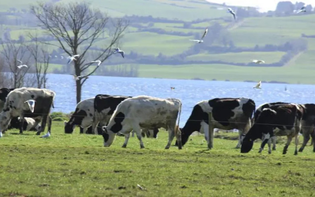 Sunrise Bed & Breakfast