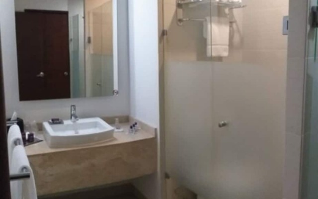 Wyndham Garden Leon Centro Max Hotel
