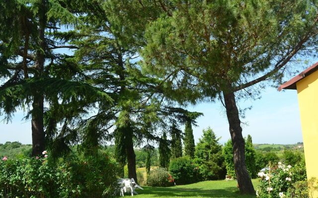 Farmhouse in Vinci With Pool & Vineyards