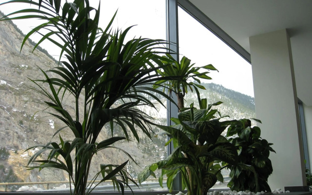 Hotel Obaga Blanca