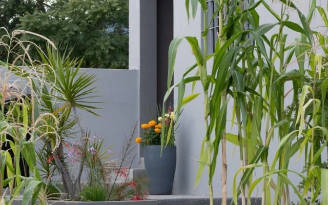 Light Filled Modern Apartment With Private Garden