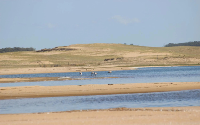 Pinocha Point Bungalows
