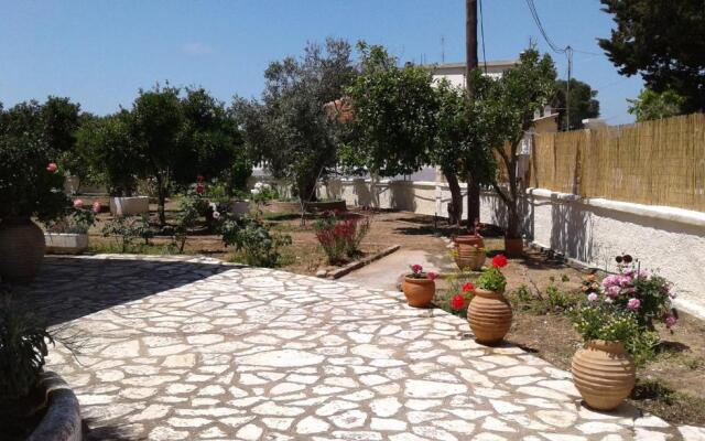 Lemon Garden