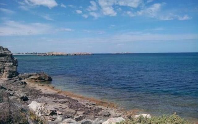 Homestead Bed and Breakfast