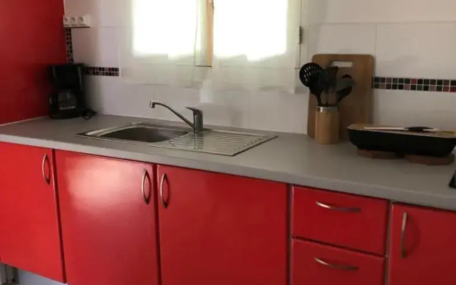 La tourterelle de Neron