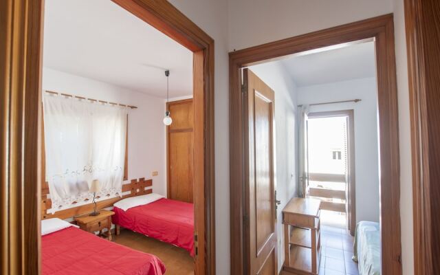 Bosc y Sol - Formentera Libre