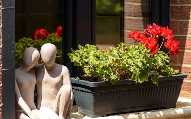 Art Hotel