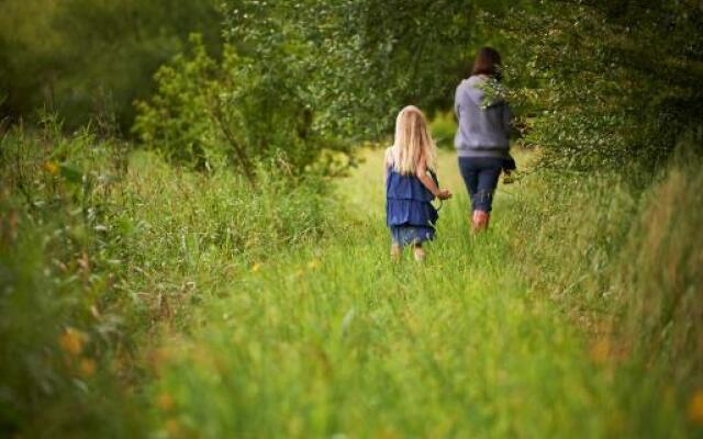 Giant's View Village