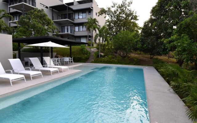 Agaves 204